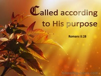 A Common Vision